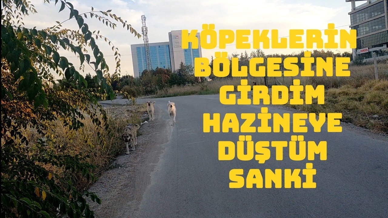 TOPRAK PARA VERİYOR, BİR ANDA ETRAFIMI DEMİRLER SARDI