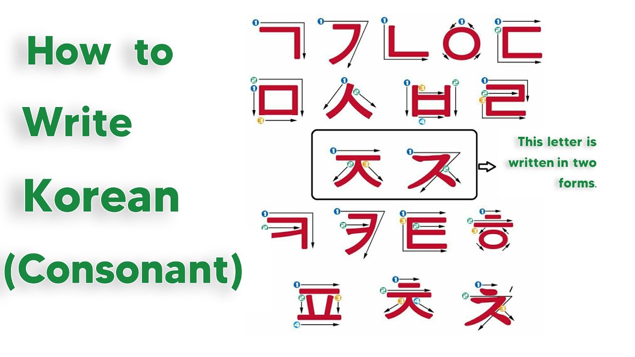 Learn Korean Consonants | Hangul Consonants for Beginners Last part | 초보자를 위한 한글 자음