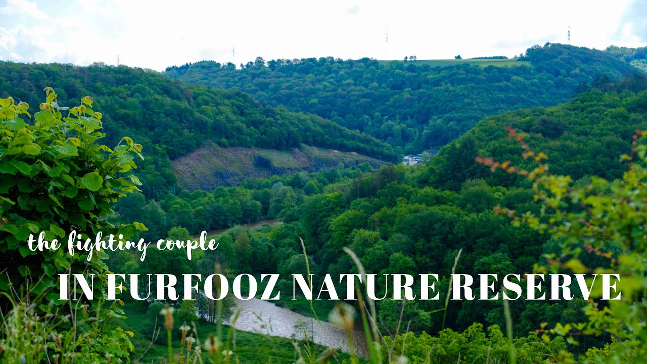 Furfooz Nature Reserve (Belgium) - A Day Trip to Prehistoric Caves & Roman Ruins (4K)