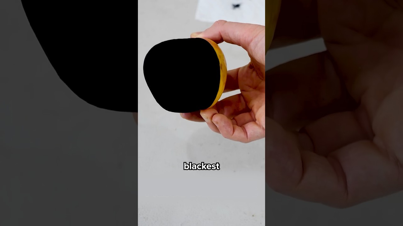 I Tested the World&rsquo;s &ldquo;Blackest&rdquo; Paint