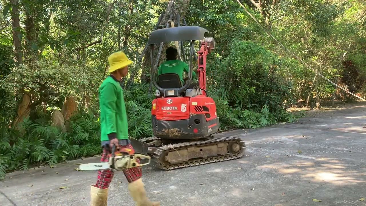 Dead Tree Removal Using Mini Excavator 🚜🌳