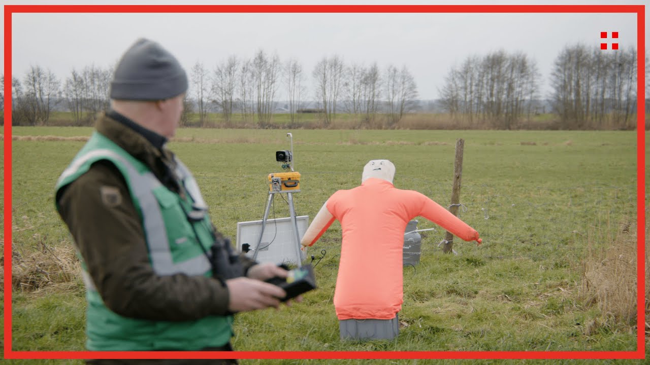 Ganzen verjagen Eemland