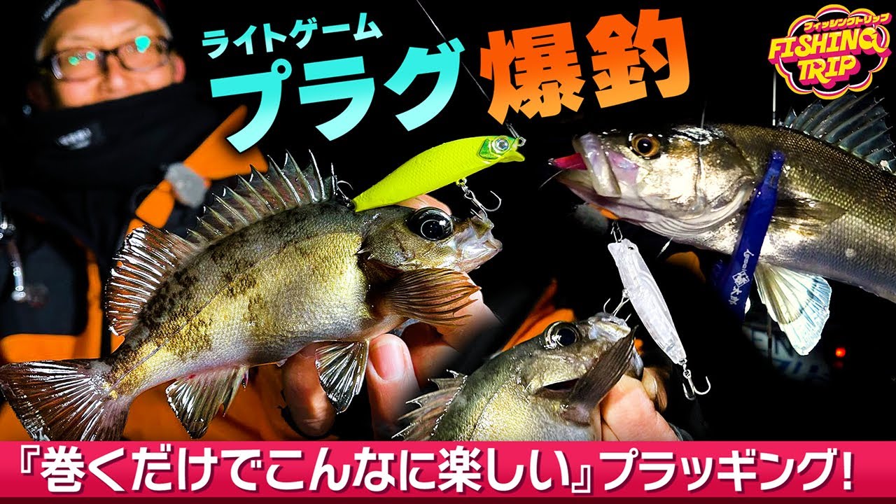 【ライトゲーム】巻くだけでこんなに楽しめるメバルプラッギングゲーム！海太郎アメミノー/アメペン【フィッシングトリップ】