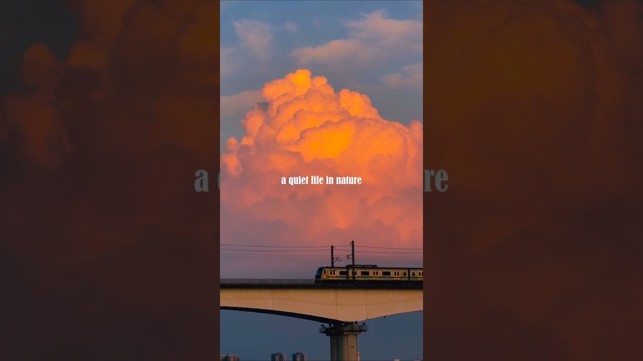 a quiet life in nature 🍄&zwj;🟫 #hopecore #life #peace #nature