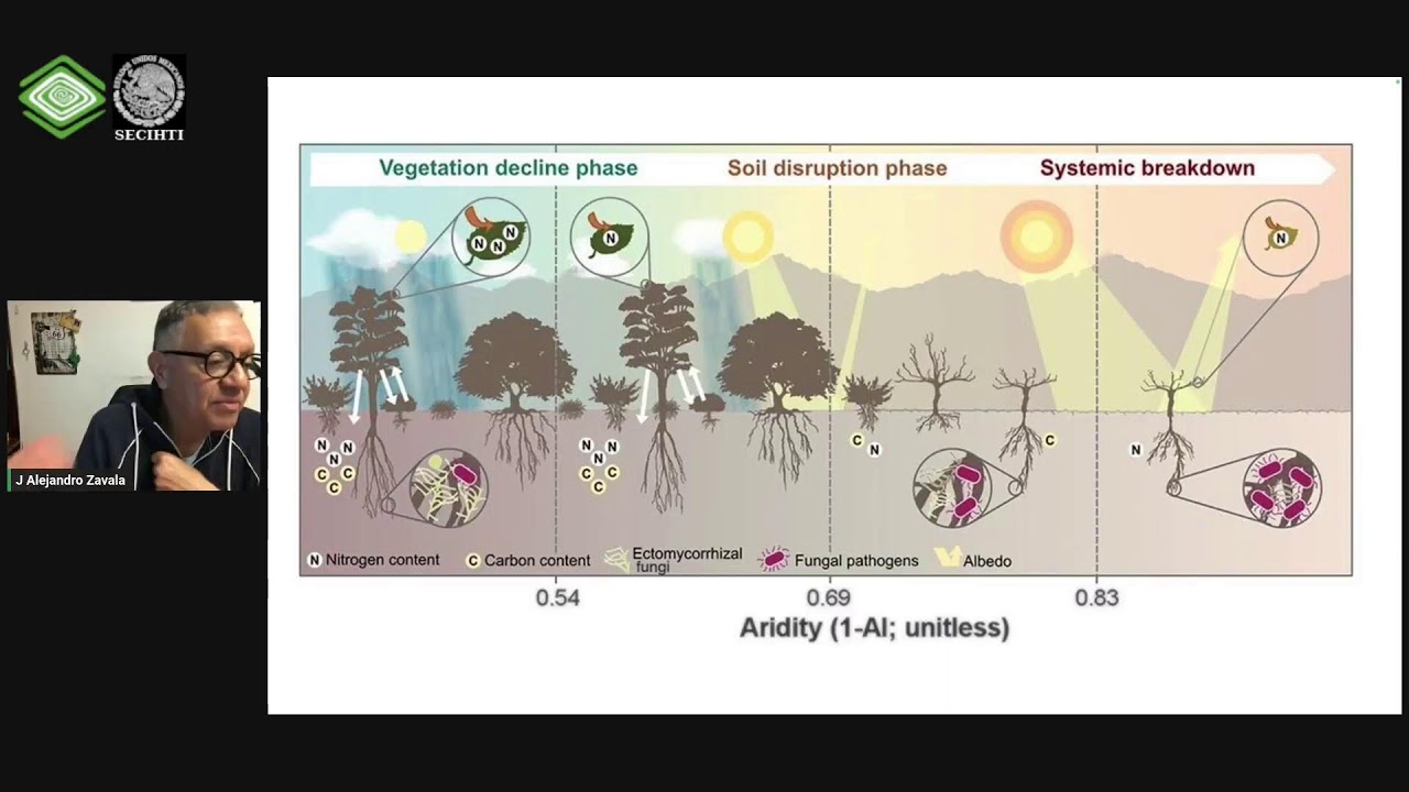 Webinario: Ricitos de oro, Humpty Dumpty y el balance de la naturaleza