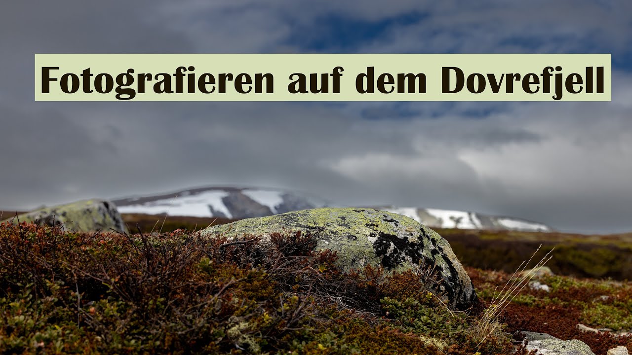 Norwegen 2022 - Dovrefjell (Teil 1)