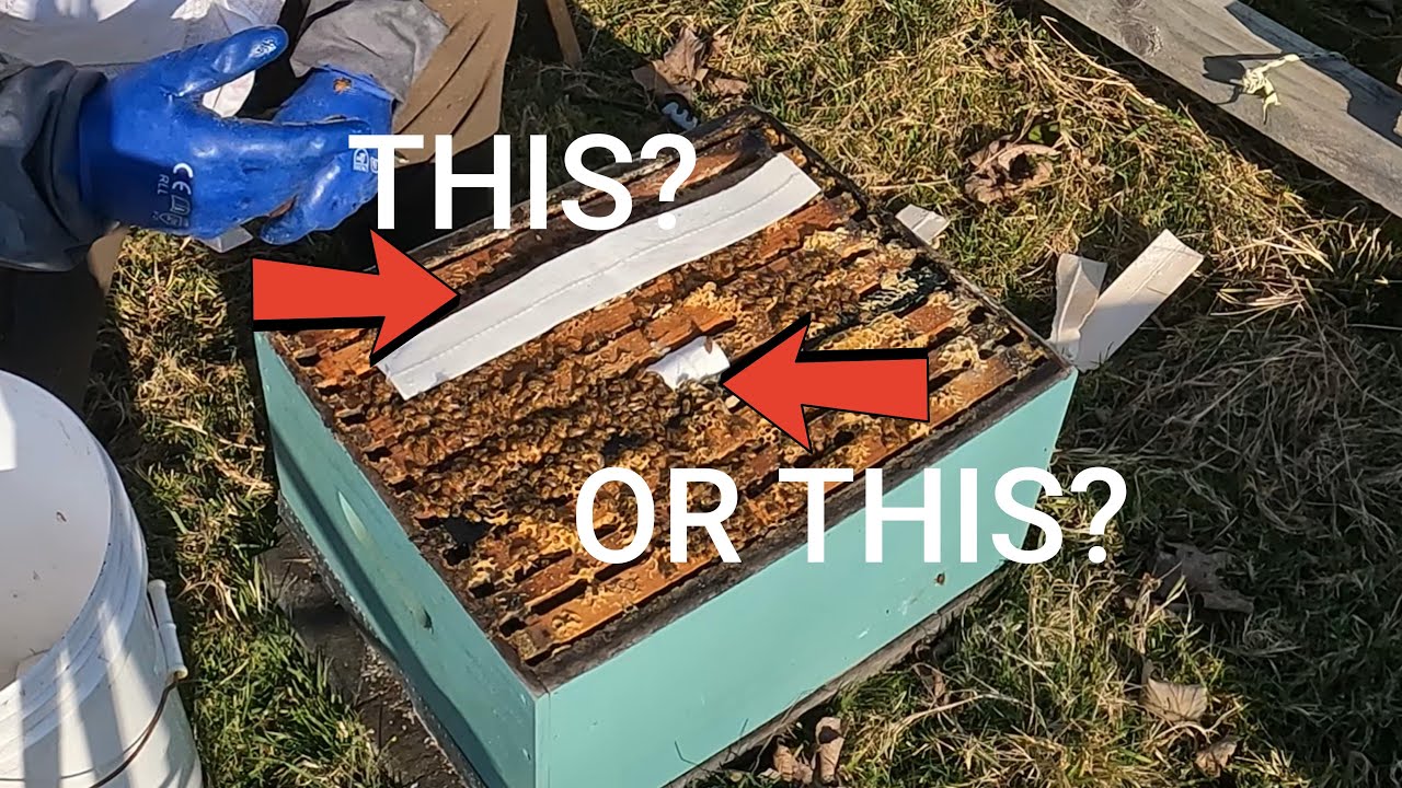 Making and applying Oxalic Acid Extended Release Strips to kill varroa mites in your beehive