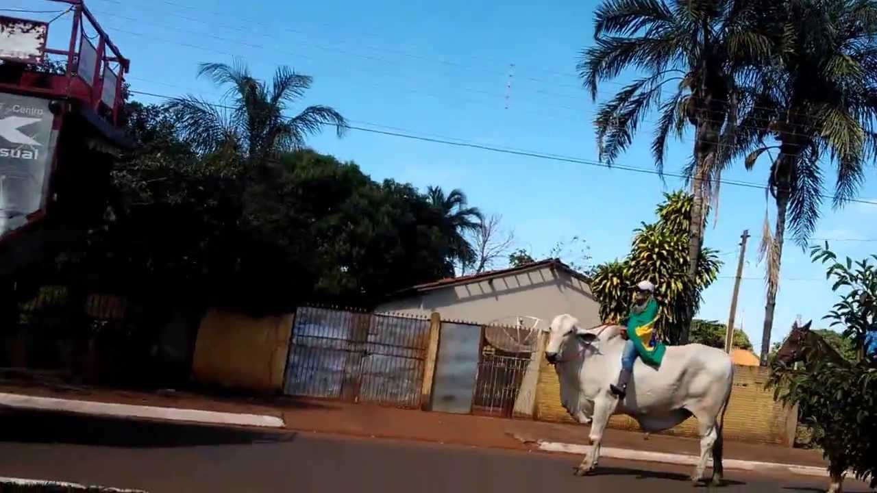 II Cavalgada de Selviria - MS