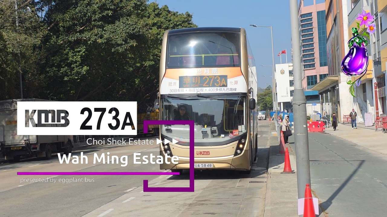 First Day at Choi Shek | 🇭🇰Hong Kong Bus KMB 273A | Circular | Choi Shek Estate🍆 Wah Ming Estate