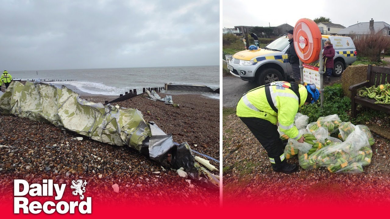 Containers full of bananas fall from cargo ship forcing P&O Cruises ship to delay departure by a day