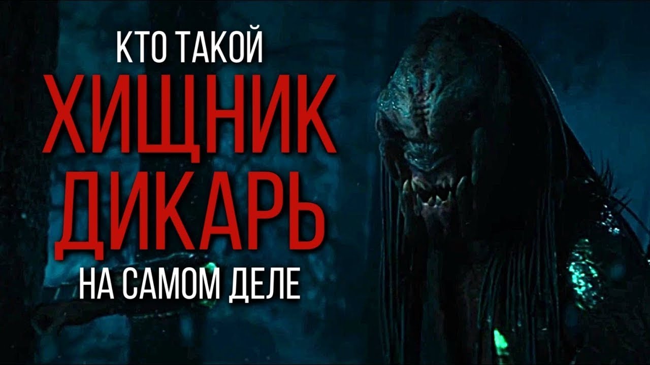 КТО ТАКОЙ ХИЩНИК ДИКАРЬ НА САМОМ ДЕЛЕ | FERAL PREDATOR