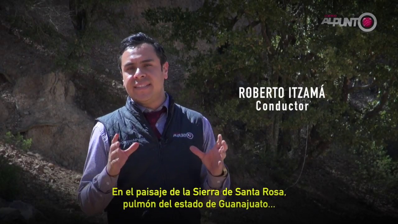 Sierra de Santa Rosa: el pulmón de Guanajuato