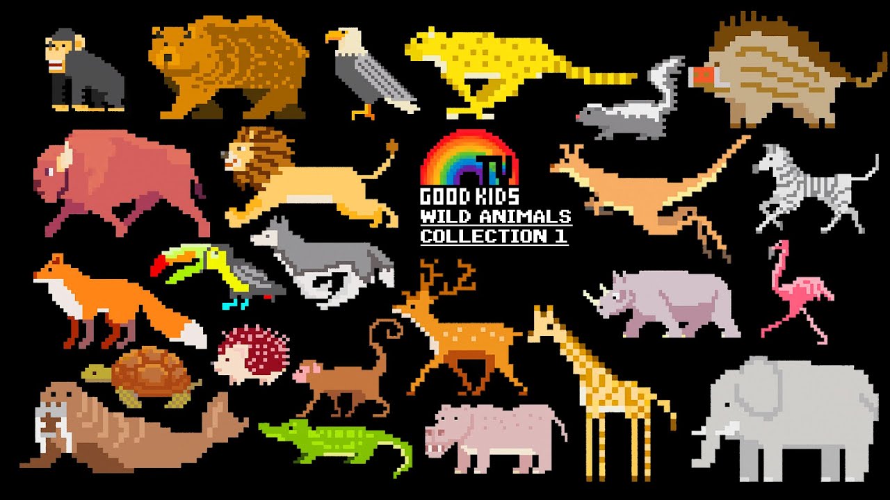 Learn Wild Animal Names with Cute and Funny Animals Collection1I Good Kids|Pictures Show