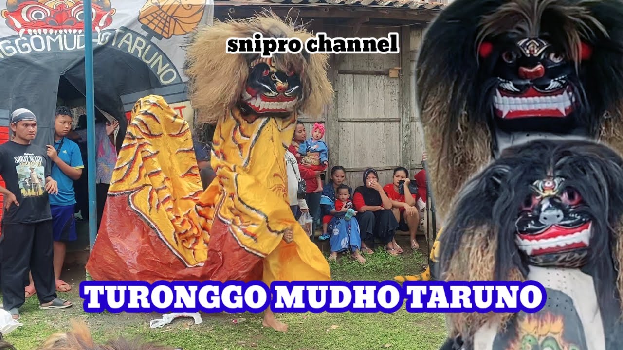 Pementasan singo barong bersama paguyuban seni turonggo mudho taruno