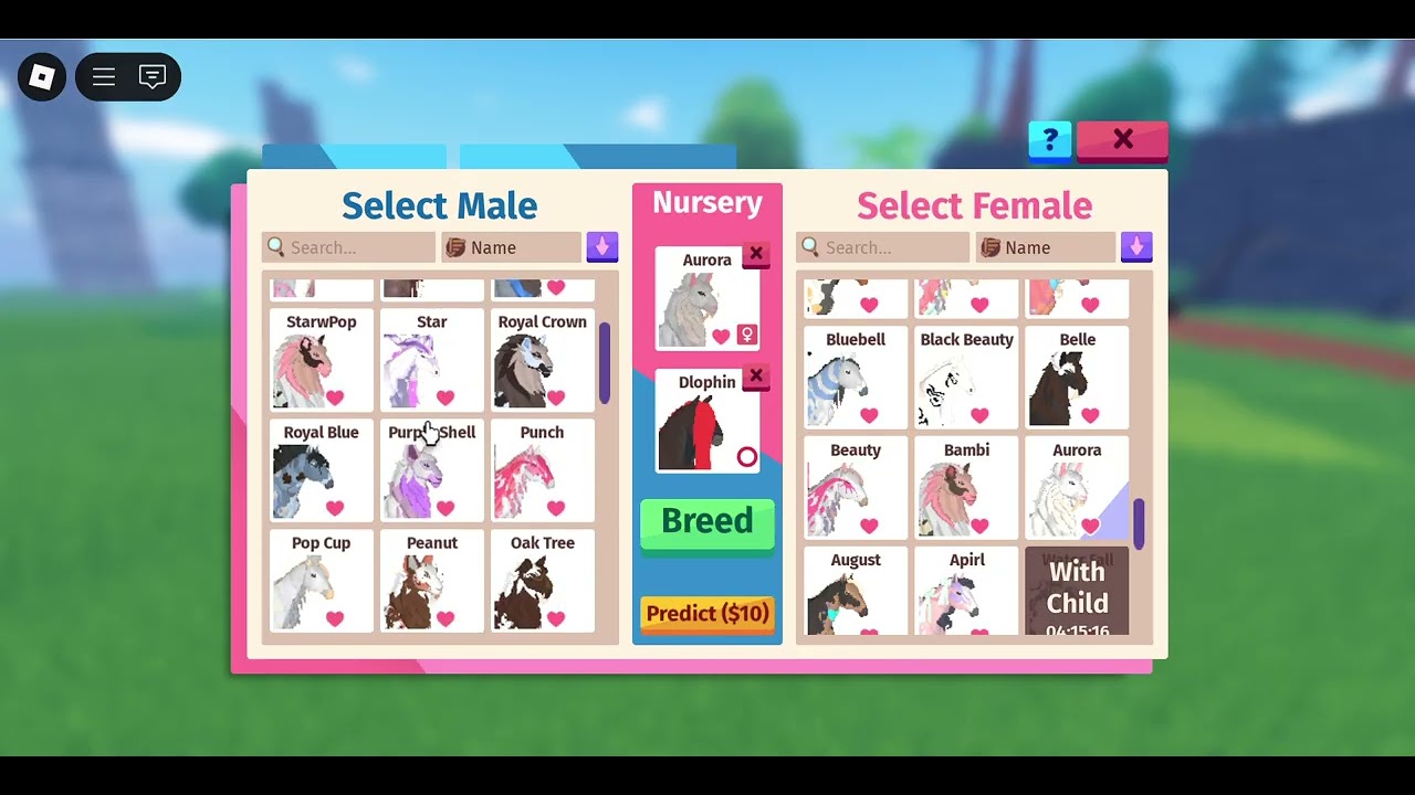 Calming my foals in horse life