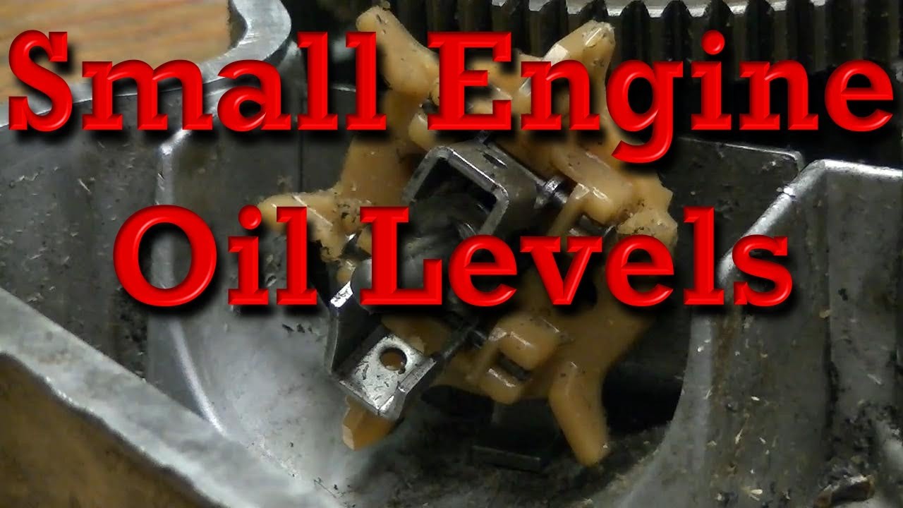 Small Engine Oil Levels