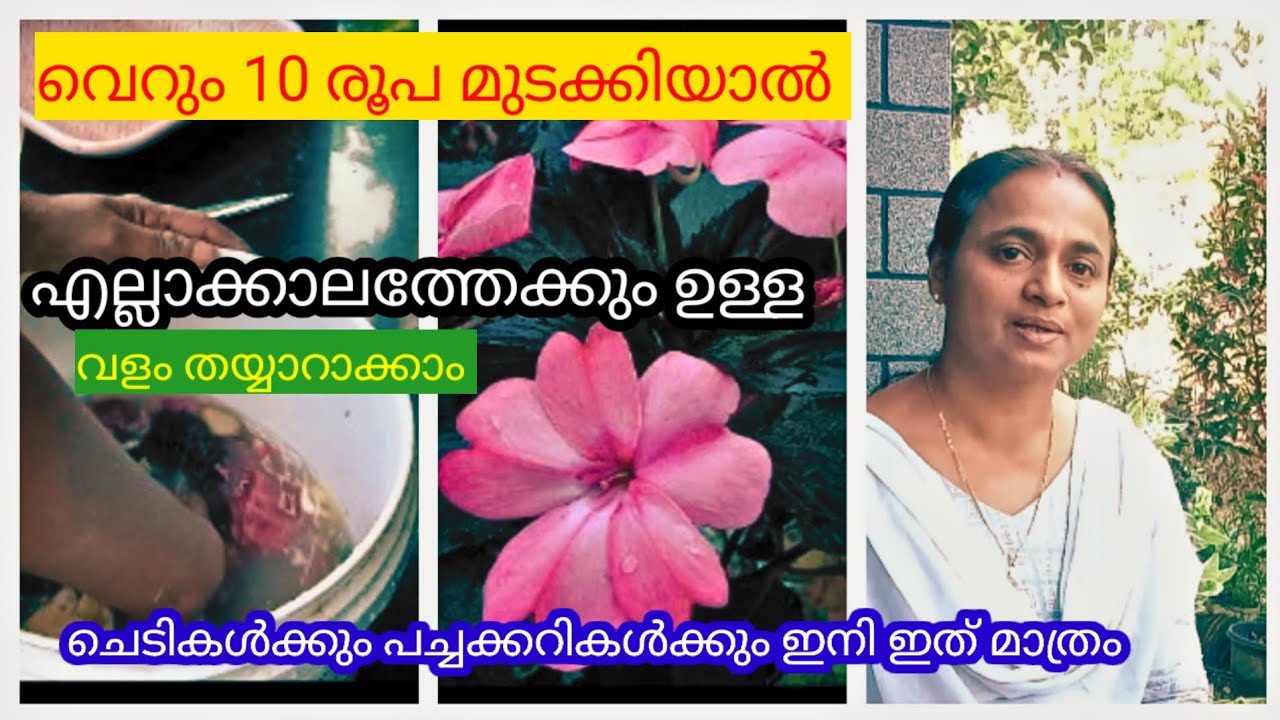 #വെറും 10 രൂപ മുടക്കിയാൽ എല്ലാക്കാലത്തേക്കും ഉള്ള വളം തയ്യാറാക്കാം | Organic Fertilizer Malayalam