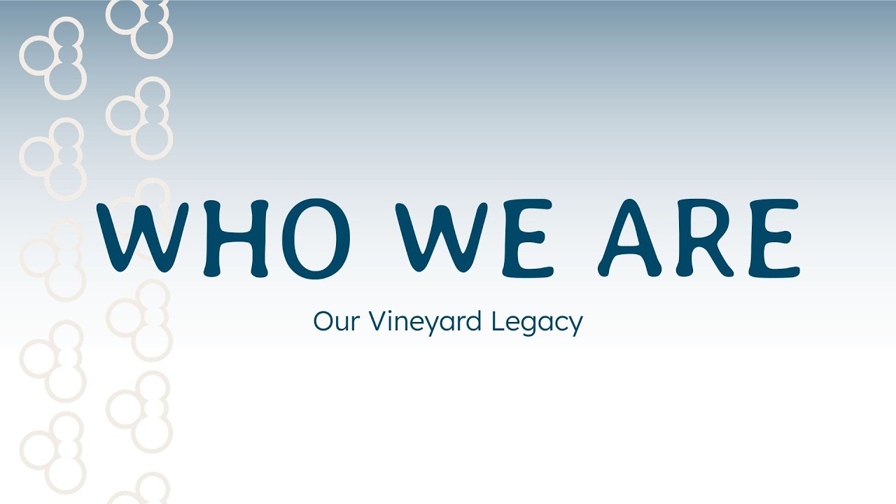 Who we Are: Our Vineyard Legacy | 8th February 2026