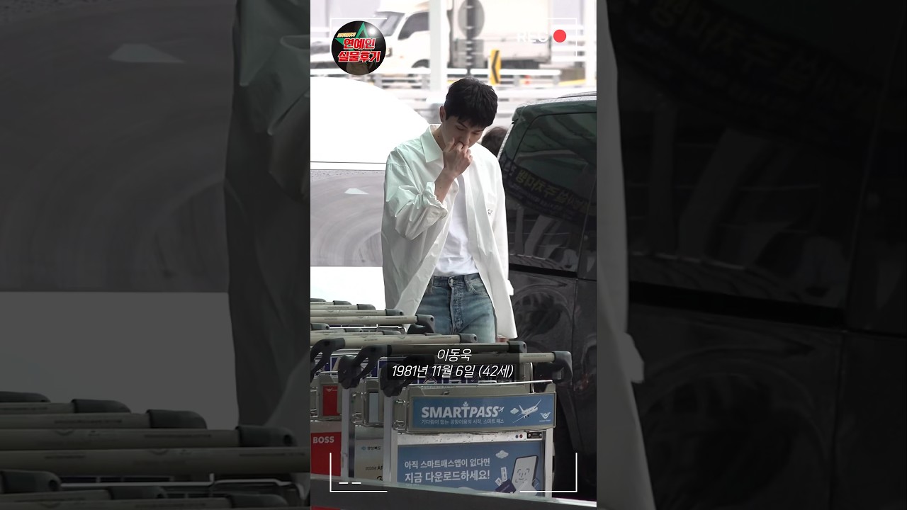 결혼 안한 40대 남자 연예인 실물현장 후기(이동욱 강동원 이제훈 손석구 하정우 이진욱 김남길)