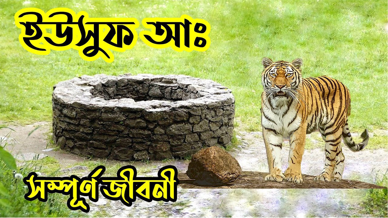 ★ হযরত ইউসুফ (আঃ) এর সম্পূর্ণ  জীবনী || Prophet Yusuf (A.S.) Story || আমাদের ইসলাম