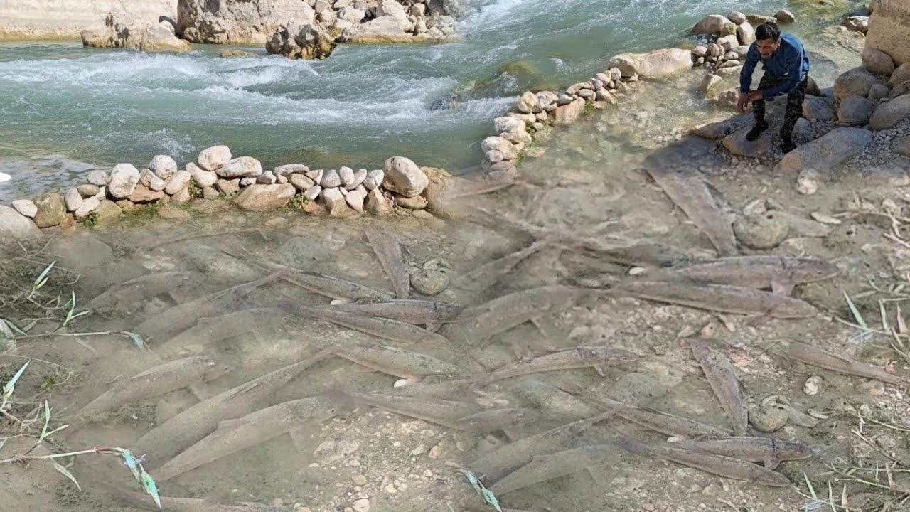 Traditional fishing skills of nomadic men | Roaring river, delicious catch