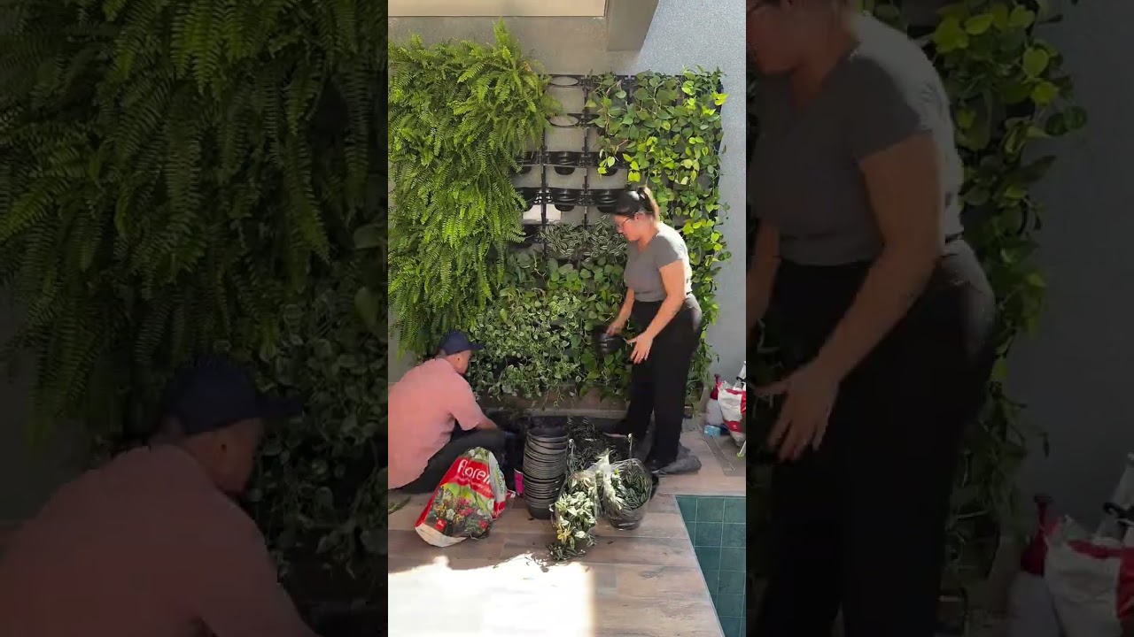 transformação dessa parede com jardim vertical. 