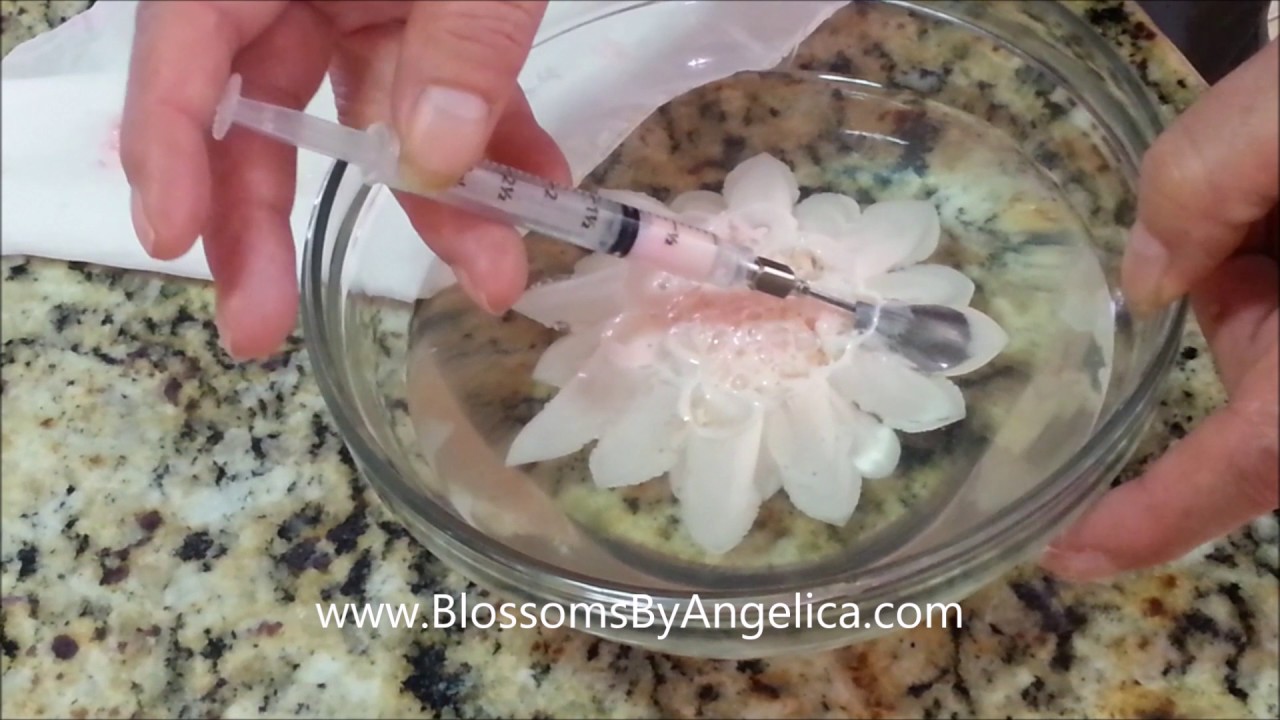 Gelatine art: Student making Dahlia