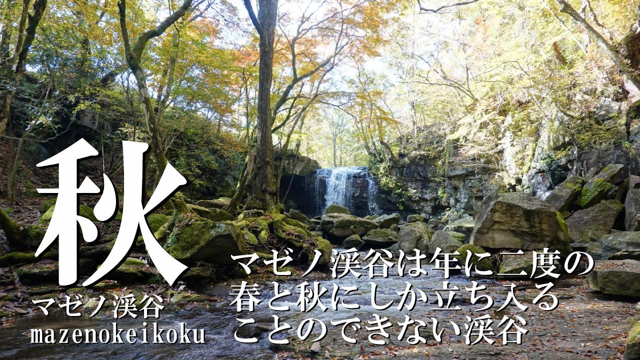 マゼノ渓谷「熊本県南小国町にある春と秋だけ一般開放の紅葉スポット」