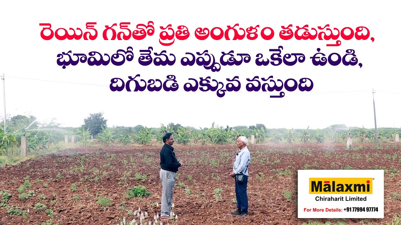 రెయిన్ గన్‌తో ప్రతి అంగుళం తడుస్తుంది, భూమిలో తేమ ఎప్పుడూ ఒకేలా ఉండి దిగుబడి ఎక్కువ వస్తుంది