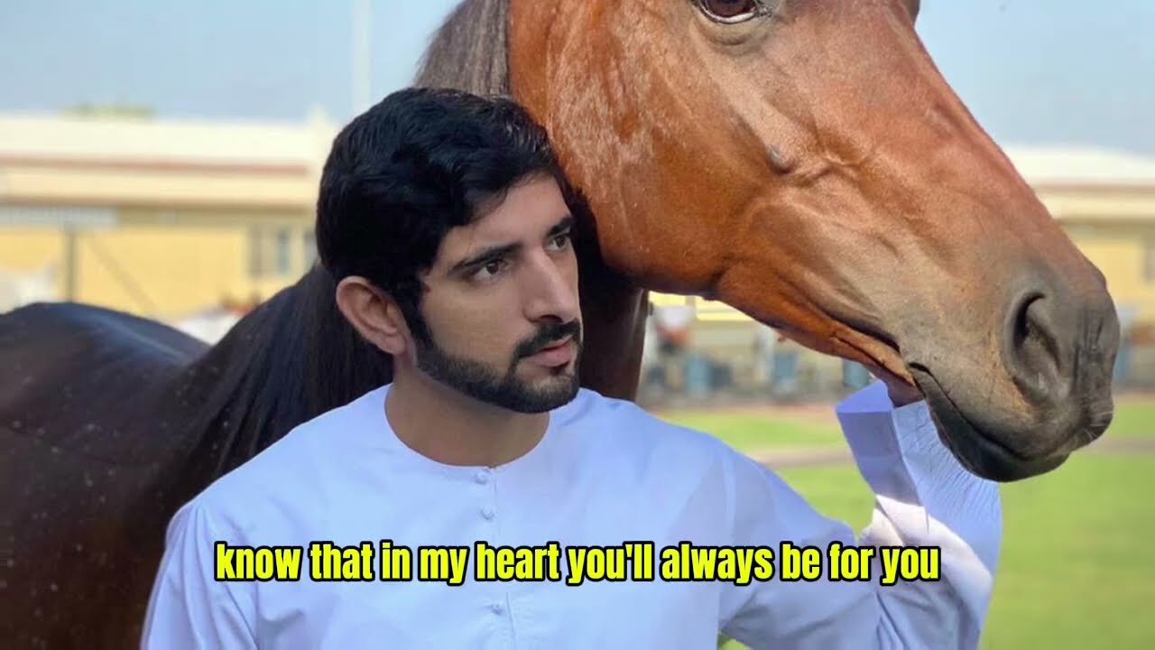 Моя королева, не заставляй меня использовать мои | Поэзия шейха Хамдана Фаззы | Принц Дубая | Сти...