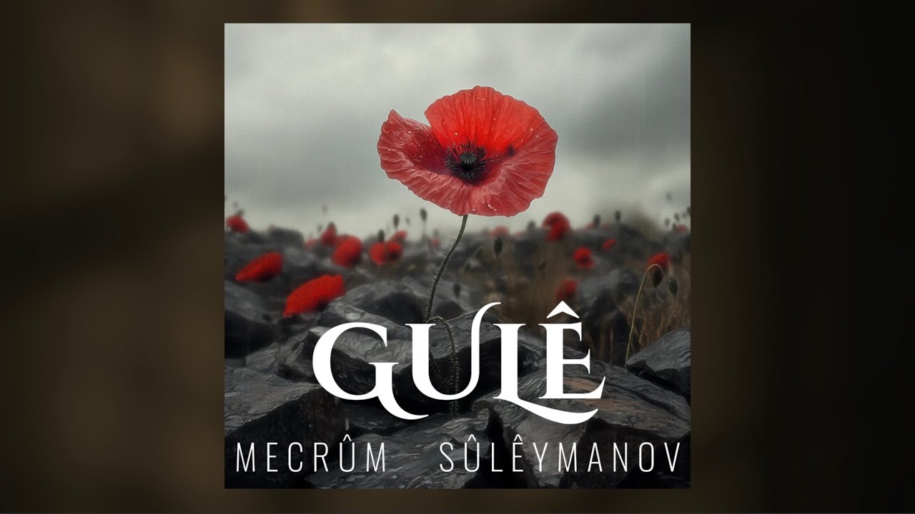 Mejrum Suleymanov - Gole