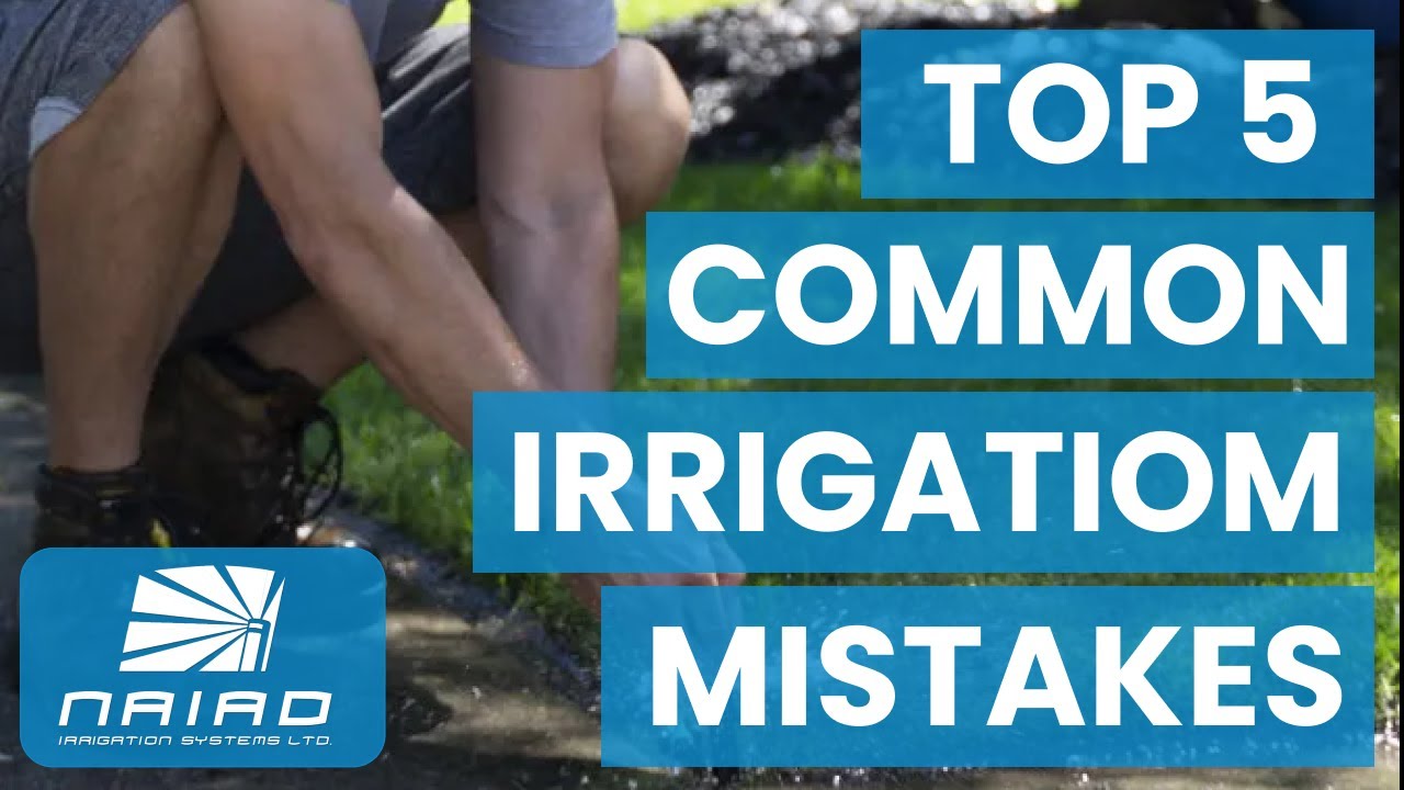 5 Common Irrigation Mistakes (and How to Fix Them)