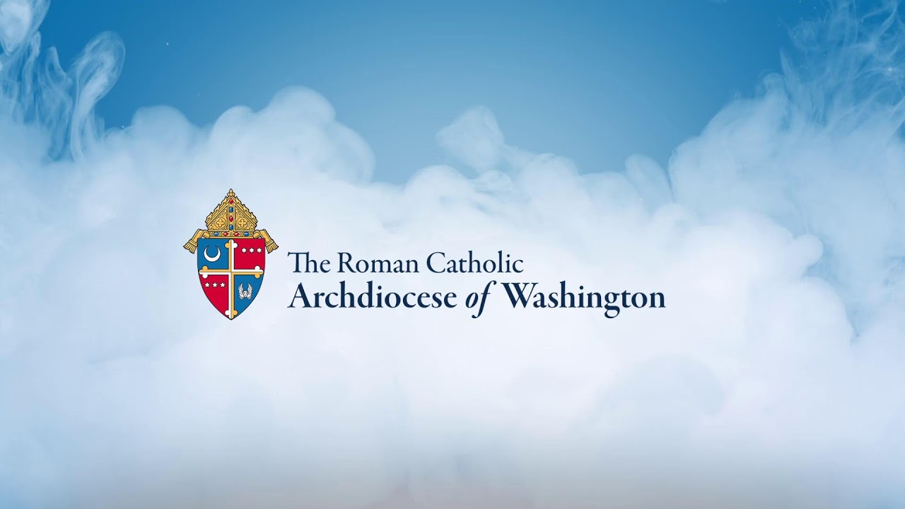 2022 Annual Mass for the Association of Ecclesial Movements and New Communities | Cardinal Gregory
