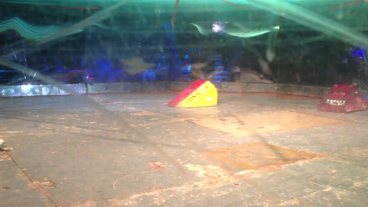 Roaming Robots - Ripper v Toxic v IA6