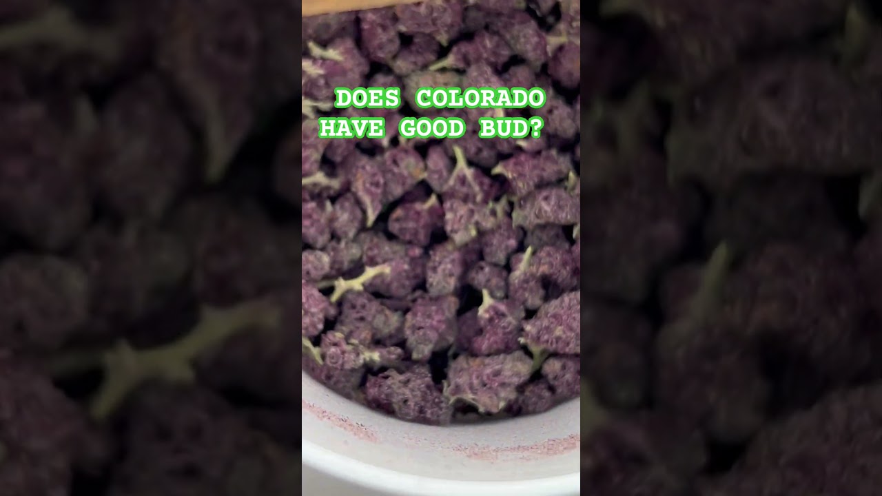 Colorado weed? #smoke #denver #colorado #shorts #420 #