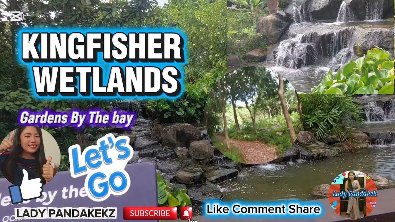 KINGFISHER WETLANDS AT GARDENS BY THE BAY | LADY PANDAKEKZ #subscribe #video 