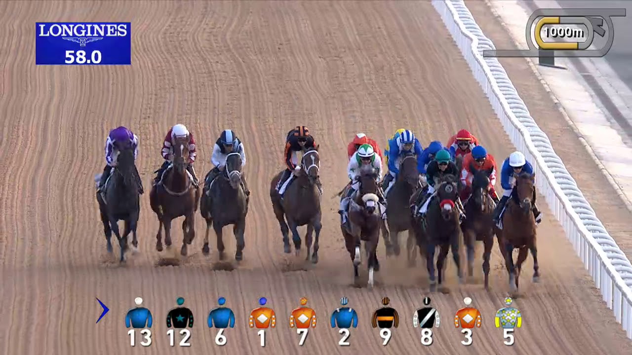 Dubai World Cup 2019: UAE Derby Race Replay - Plus Que Parfait