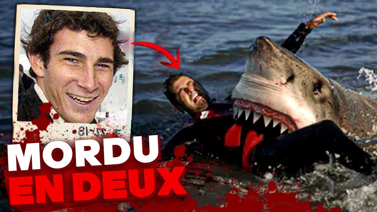 L'Attaque De Requin La Plus BRUTALE De l'Histoire! Marathon