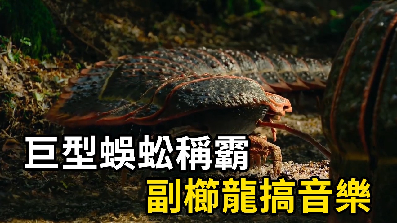億年前的地球太瘋狂，巨型蜈蚣稱霸，副櫛龍搞音樂！ | #紀錄片 #有趣  #涨知识 #動物 #知識  #生物