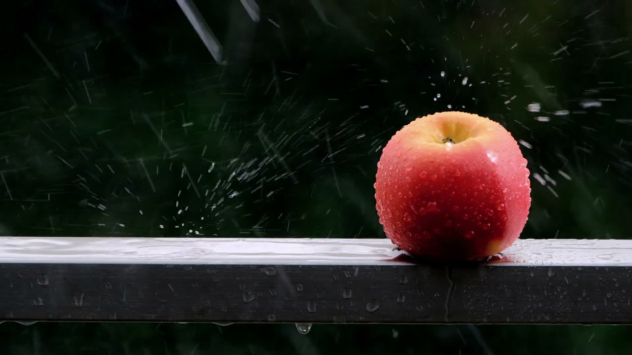 The sound of the big rain sleeping fell on the straw roof, and it rained on the hut,