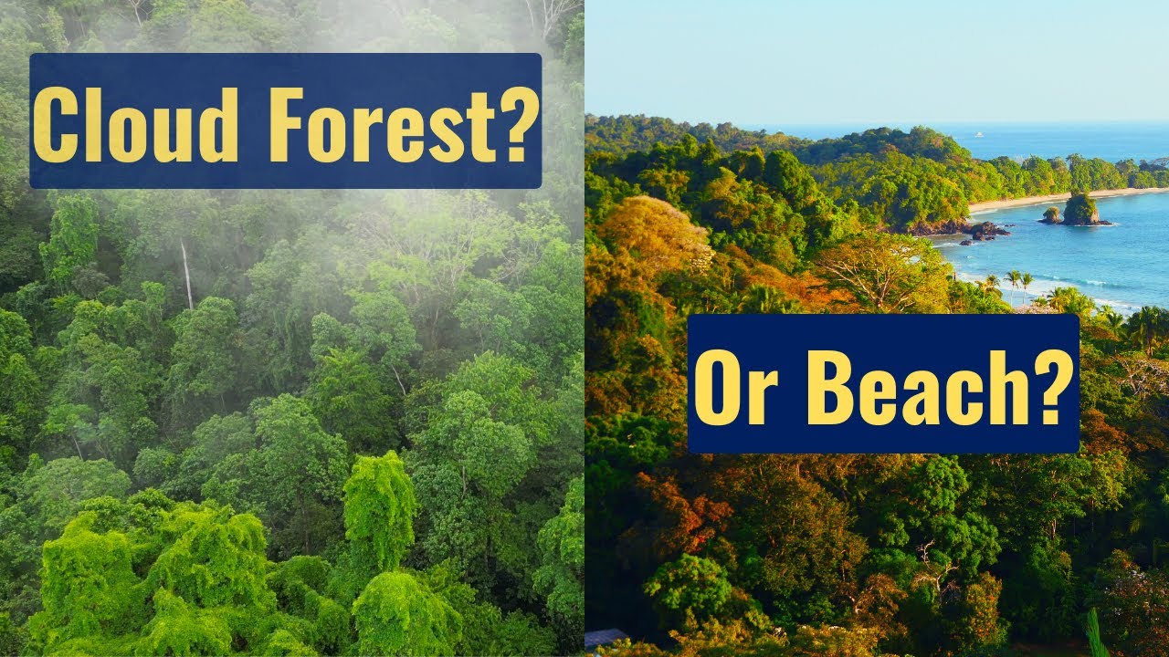 From Cloud Forest to Paradise Beach in Costa Rica