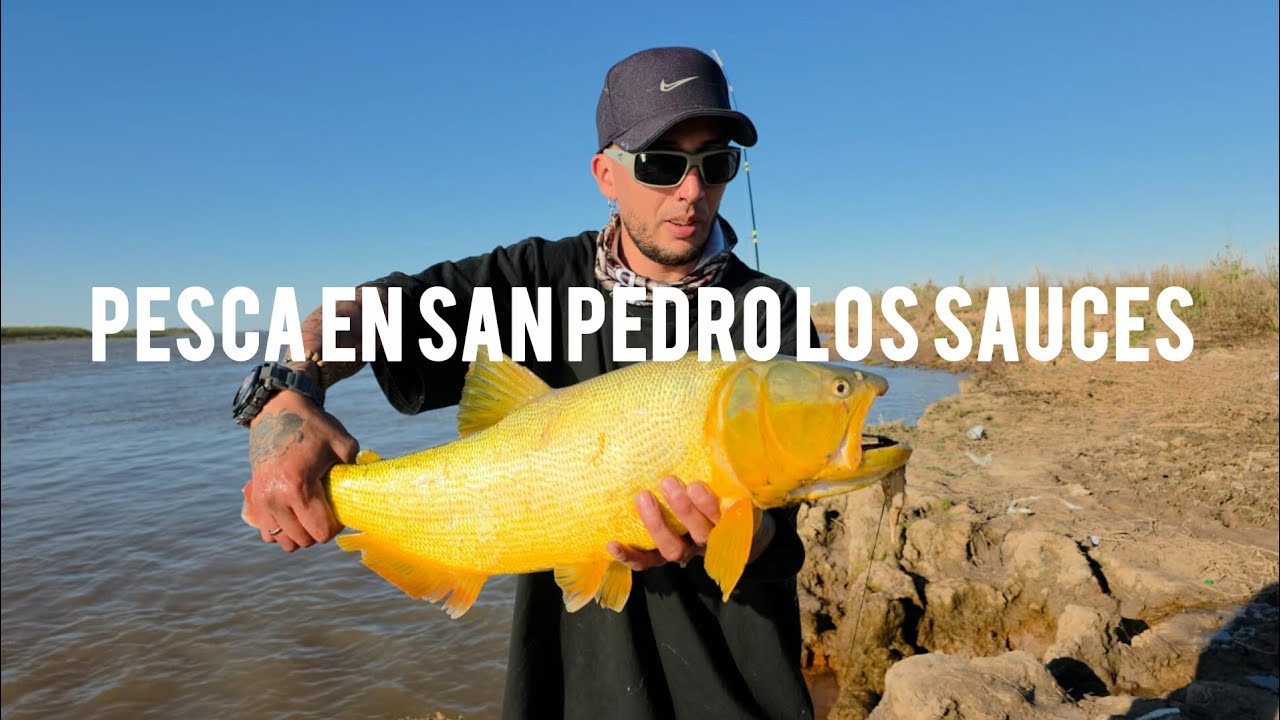 PESCOONN EN LOS SAUCES SAN PEDRO🎣💥😎 LANCHERO MAXI PARERA 
