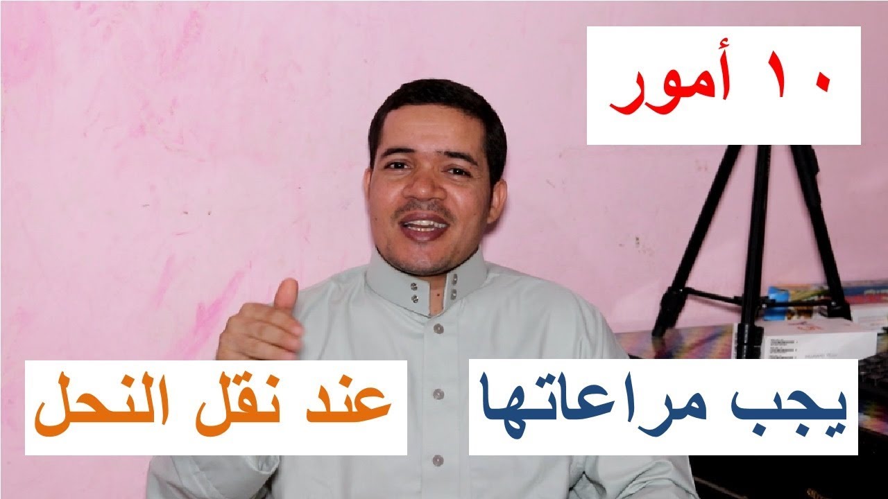 ما يجب مراعاته عند نقل النحل من مكان لآخر