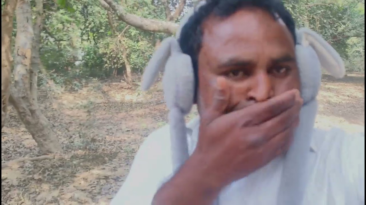 आज जंगल के रास्ते मैं और मेरी बेटी घर जा रहे हैं। 😲