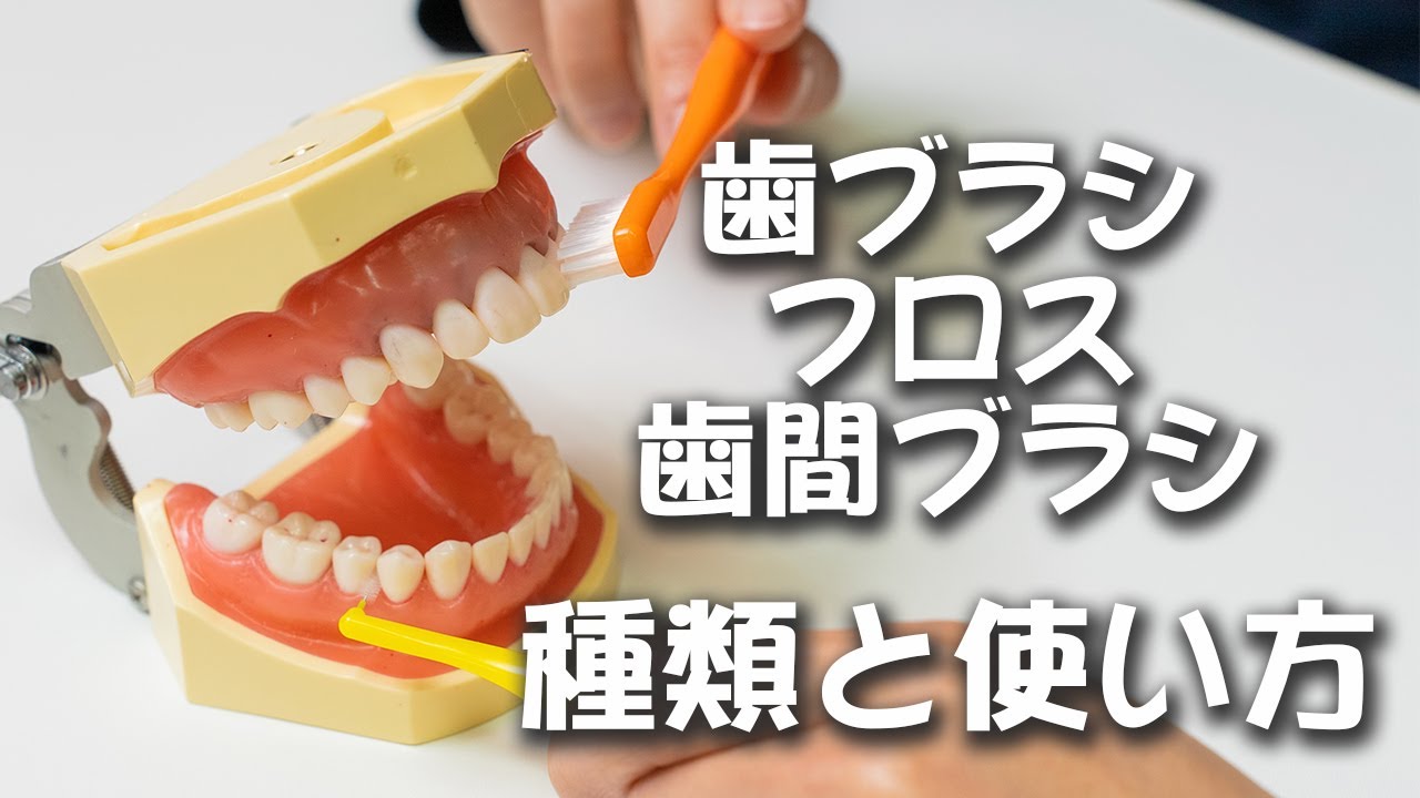 歯ブラシ・フロス・歯間ブラシ〜種類と使い方〜