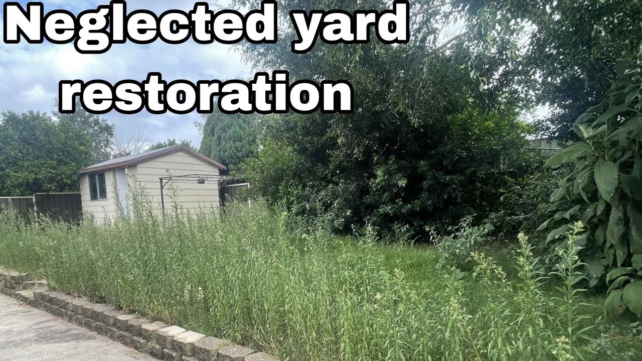 We gave this family a TOTAL YARD MAKEOVER! Mowing, edging, weeding, pruning, pressure washing