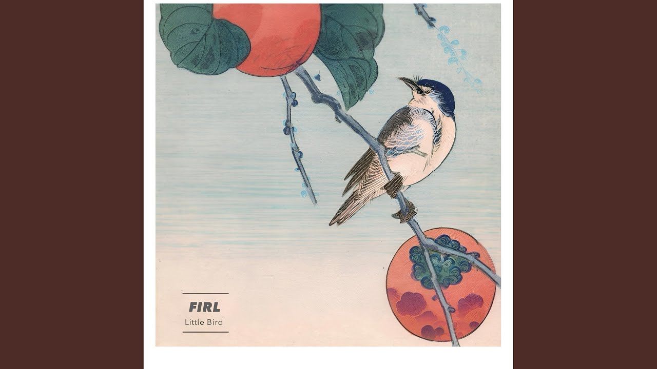 Little Bird