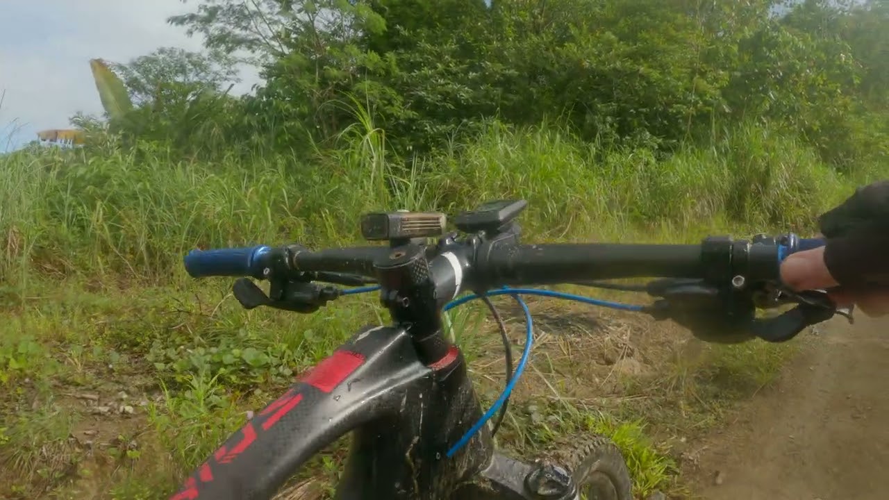 mtb5