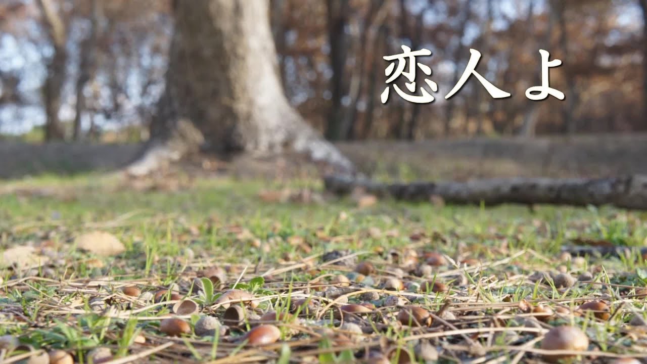 恋人よ 　八代亜紀