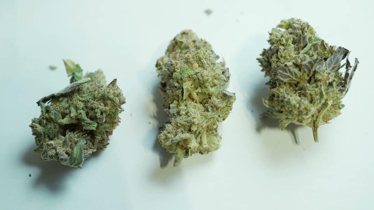 Hand-Trimmed Quality without Sacraficing Production Volume